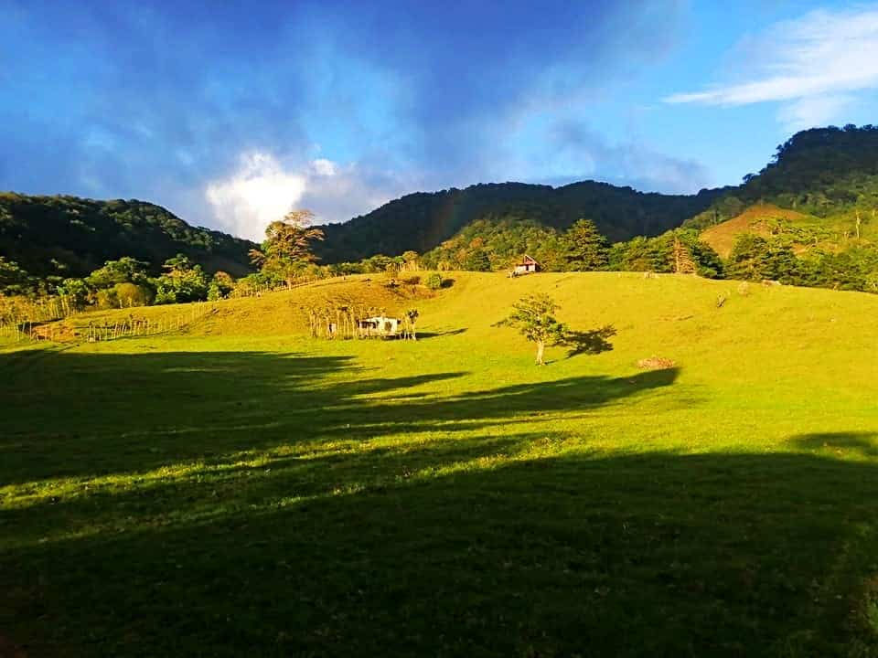 Finca Palo Hueco
