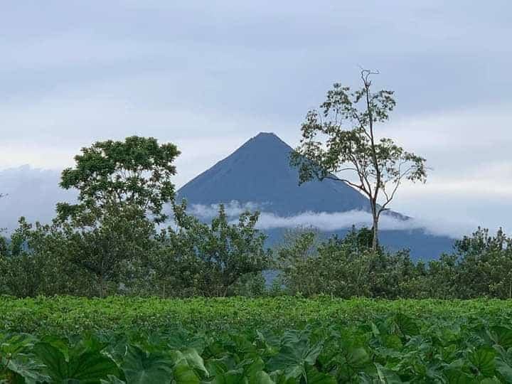 Finca Agroecológica Vivencias Campesinas miniatura 4