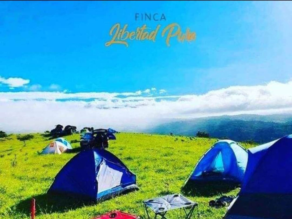 Finca Libertad Pura miniatura 4