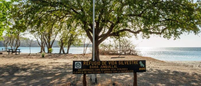Área de Conservación Junquillal