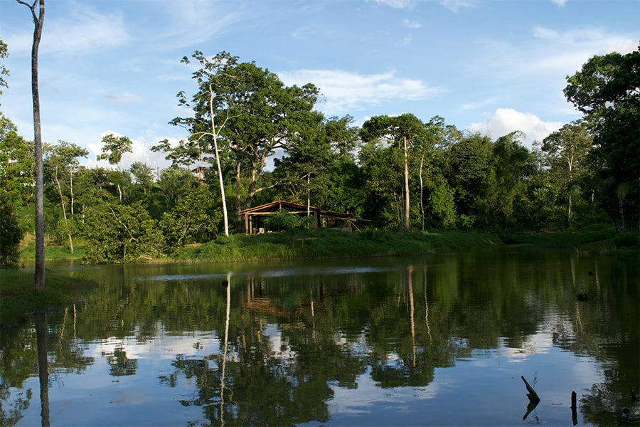 Toculaca