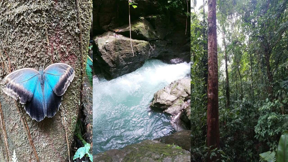 Adventure Camping La Bijagua miniatura 2