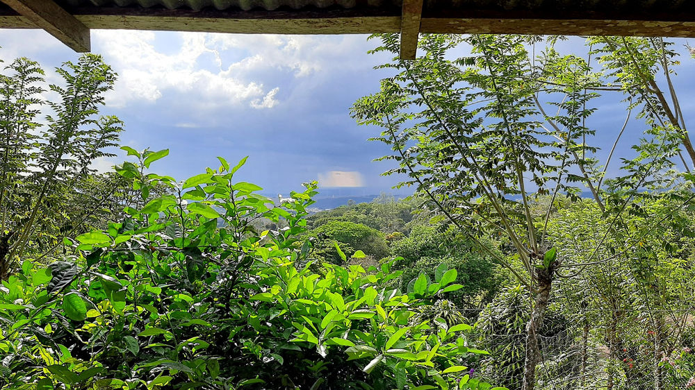 Finca Ecocentro La Esmeralda miniatura 6