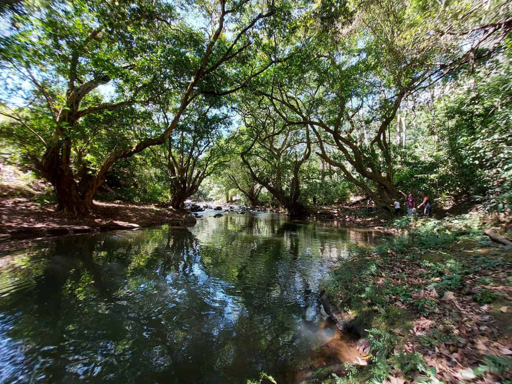 Camping Finca La Paz SR miniatura 2