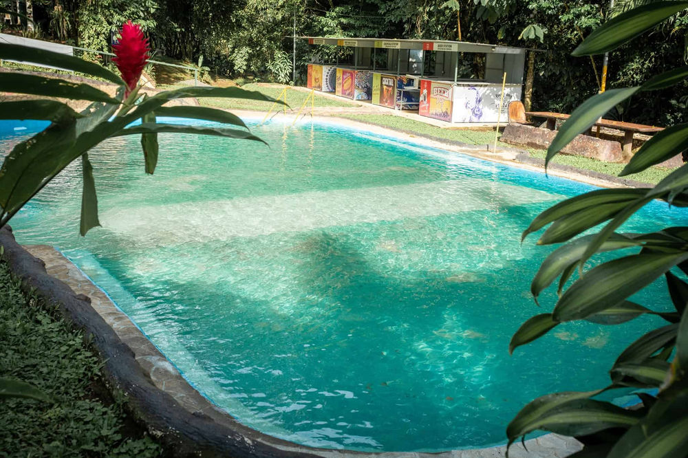 Finca Paraíso Orgánico miniatura 4