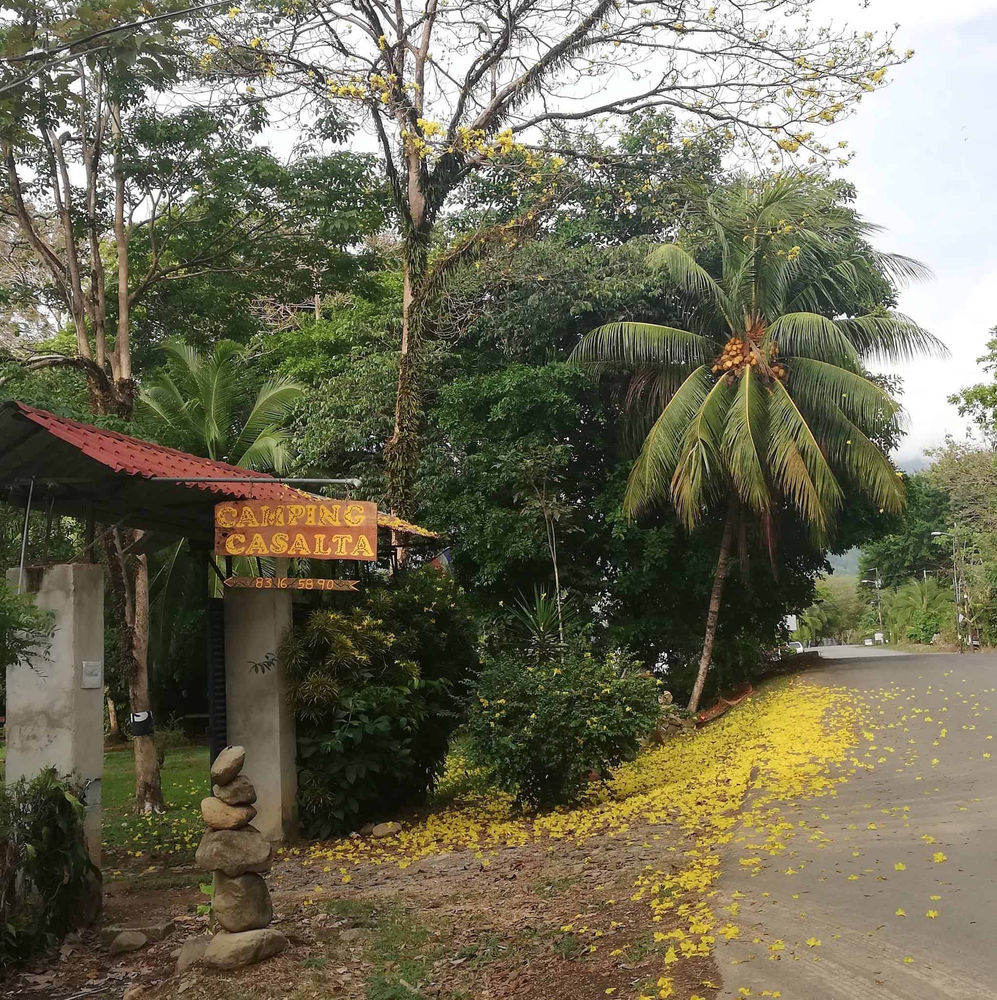 Camping Casalta