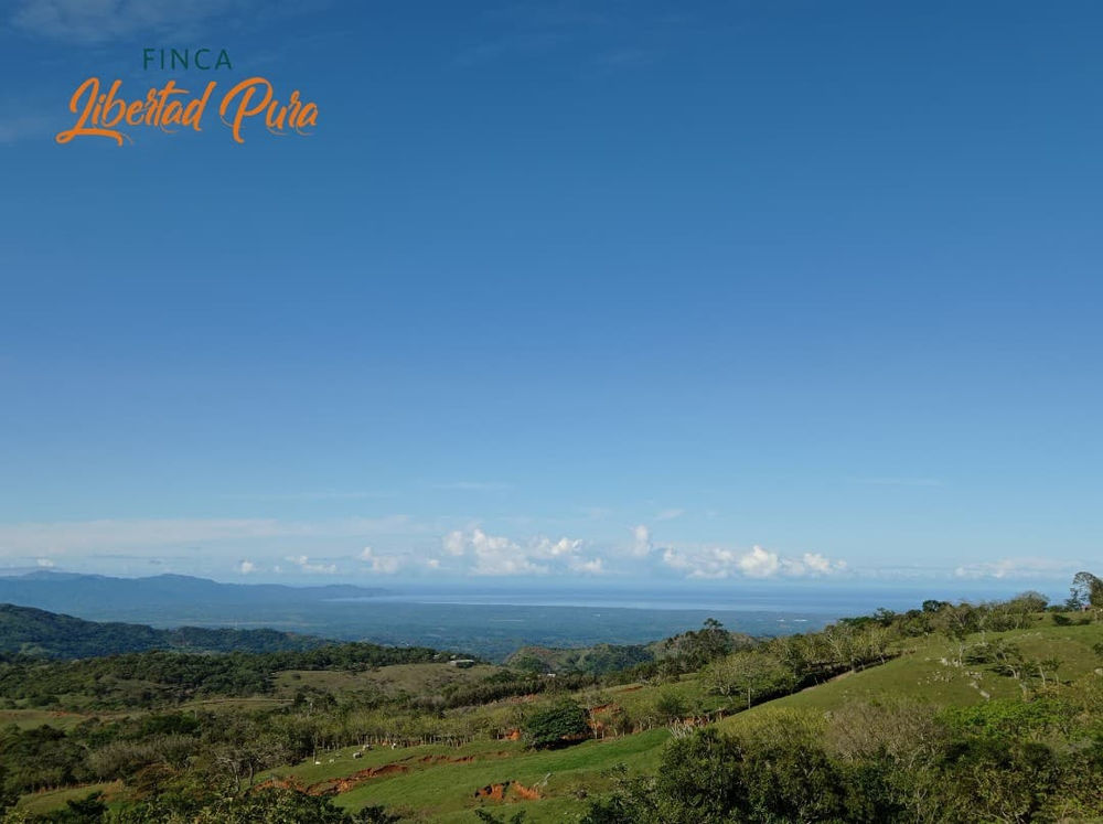 Finca Libertad Pura miniatura 2