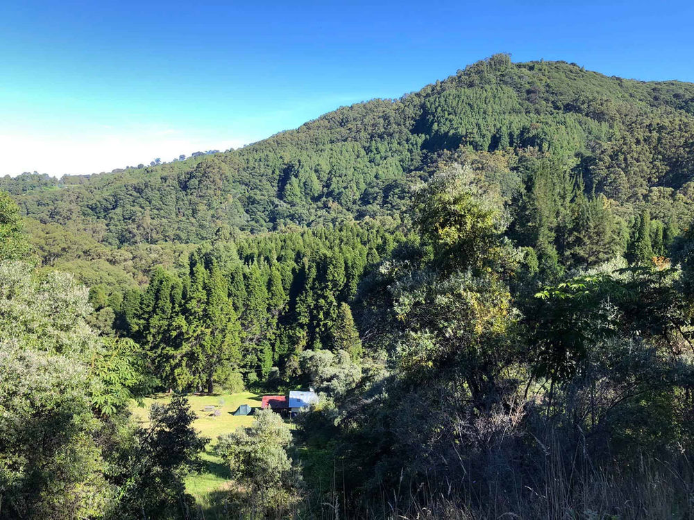 Finca Clavelito