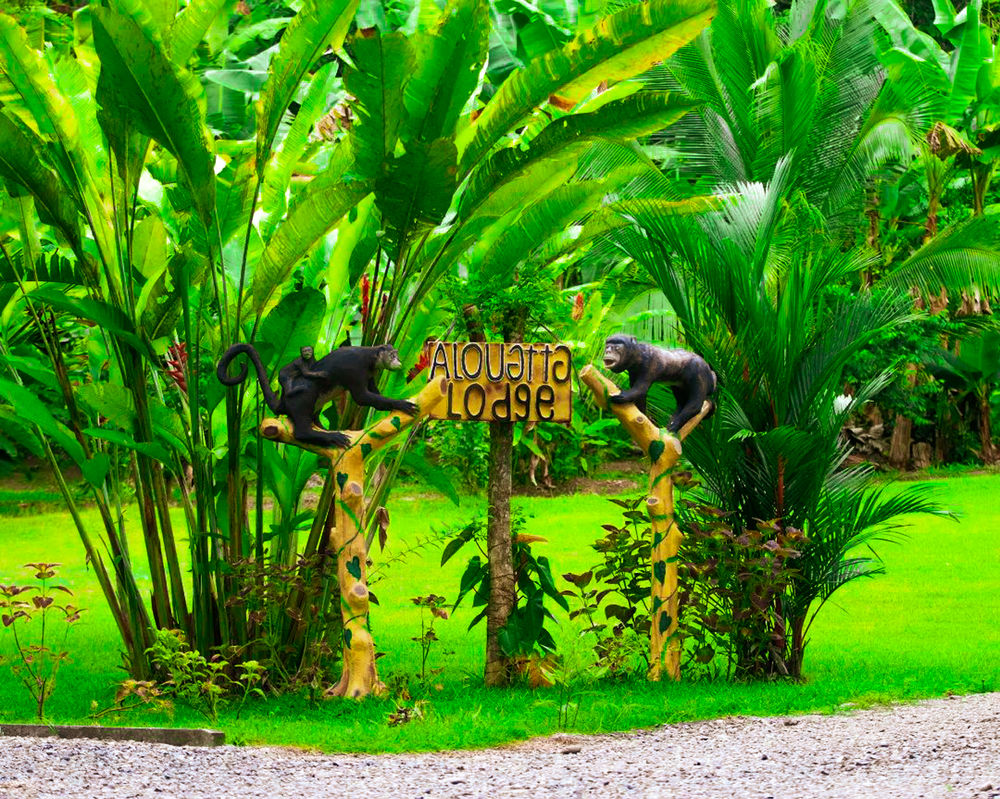 Alouatta Hanging Bridges, Aventure and Lodge