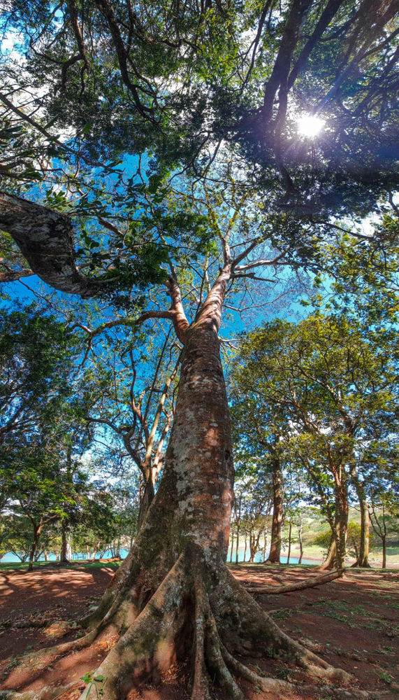 Camping Bahía de la Península miniatura 6