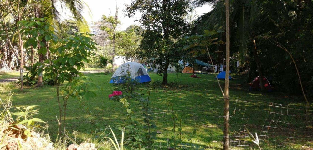 Camping Casalta miniatura 4