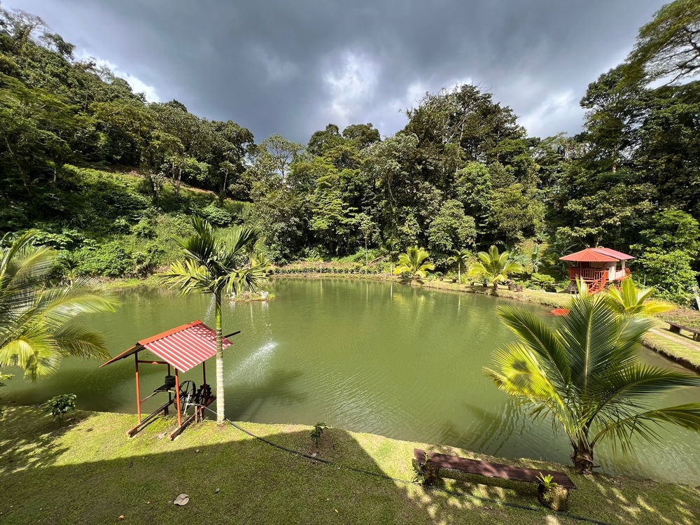 Camping Paraíso de Paz miniatura 4