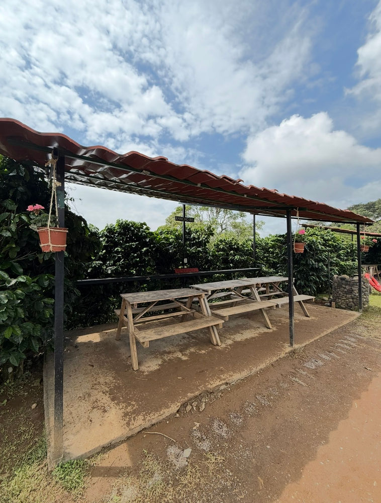 Finca Koki