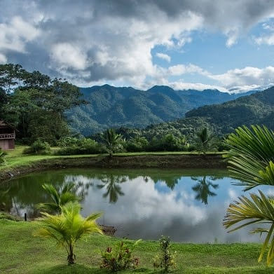 Camping Paraíso de Paz