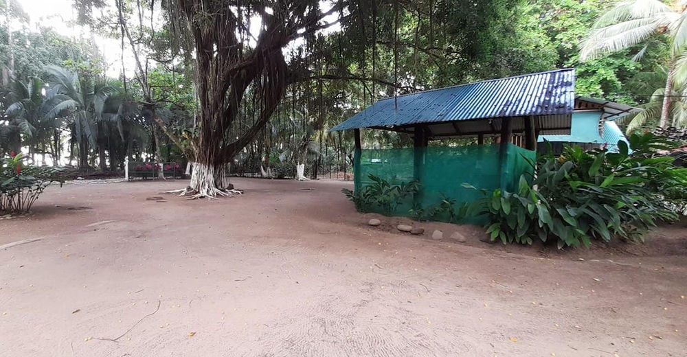 Camping Cola Ballena CR miniatura 4