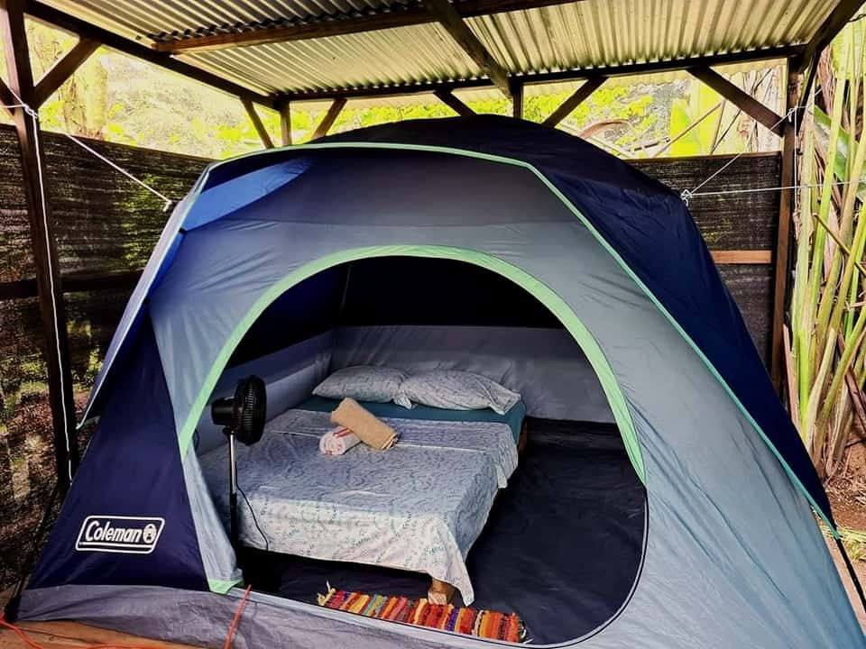 Cabinas Florencia & Camping Rooms Shalton miniatura 4