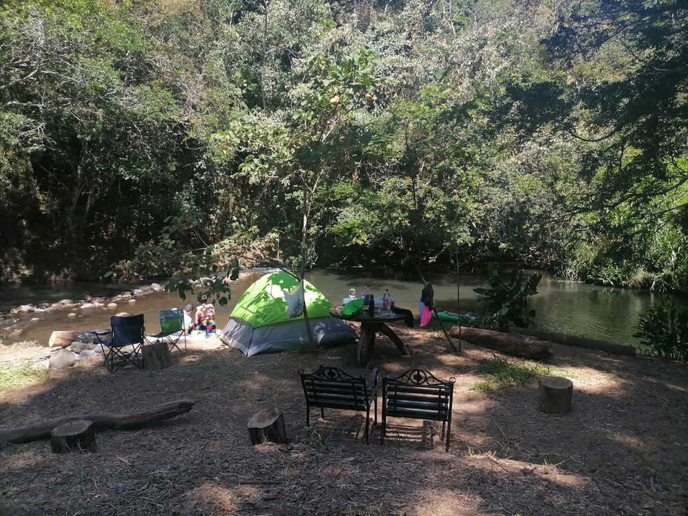 Camping Finca La Paz SR miniatura 3