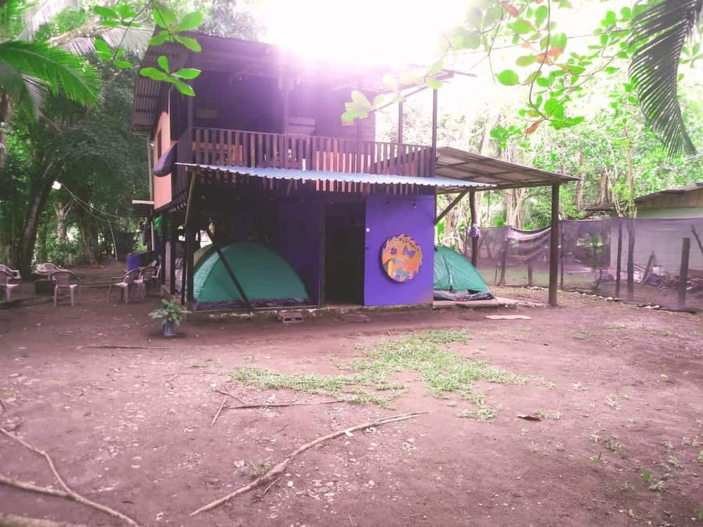 Camping Icaco Limón miniatura 5