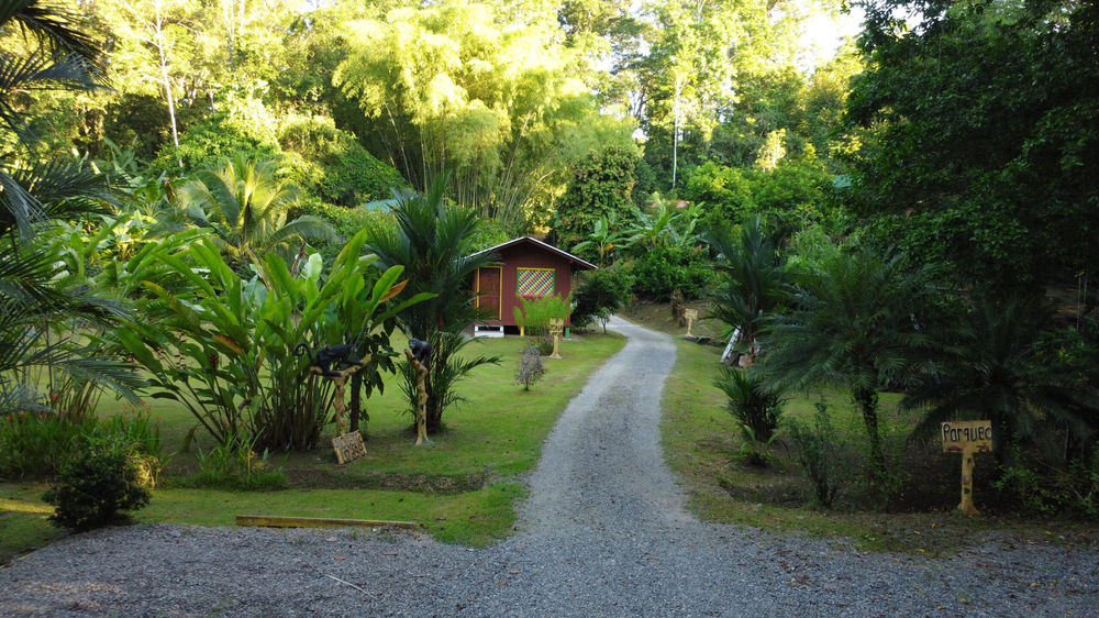 Alouatta Hanging Bridges, Aventure and Lodge miniatura 4