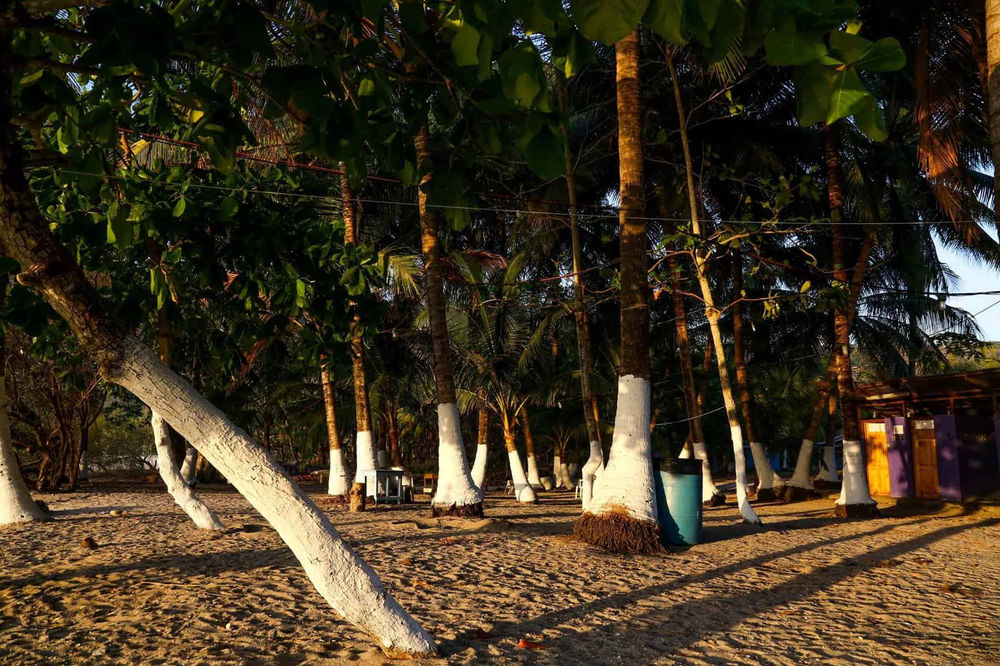 Camping Mar Azul, Malpaís miniatura 4