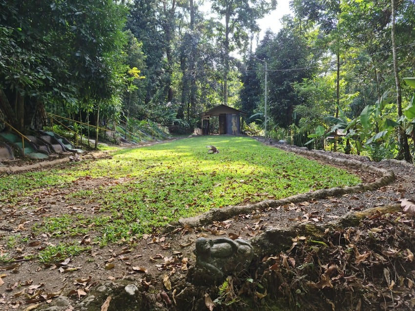 Finca Paraíso Orgánico miniatura 3