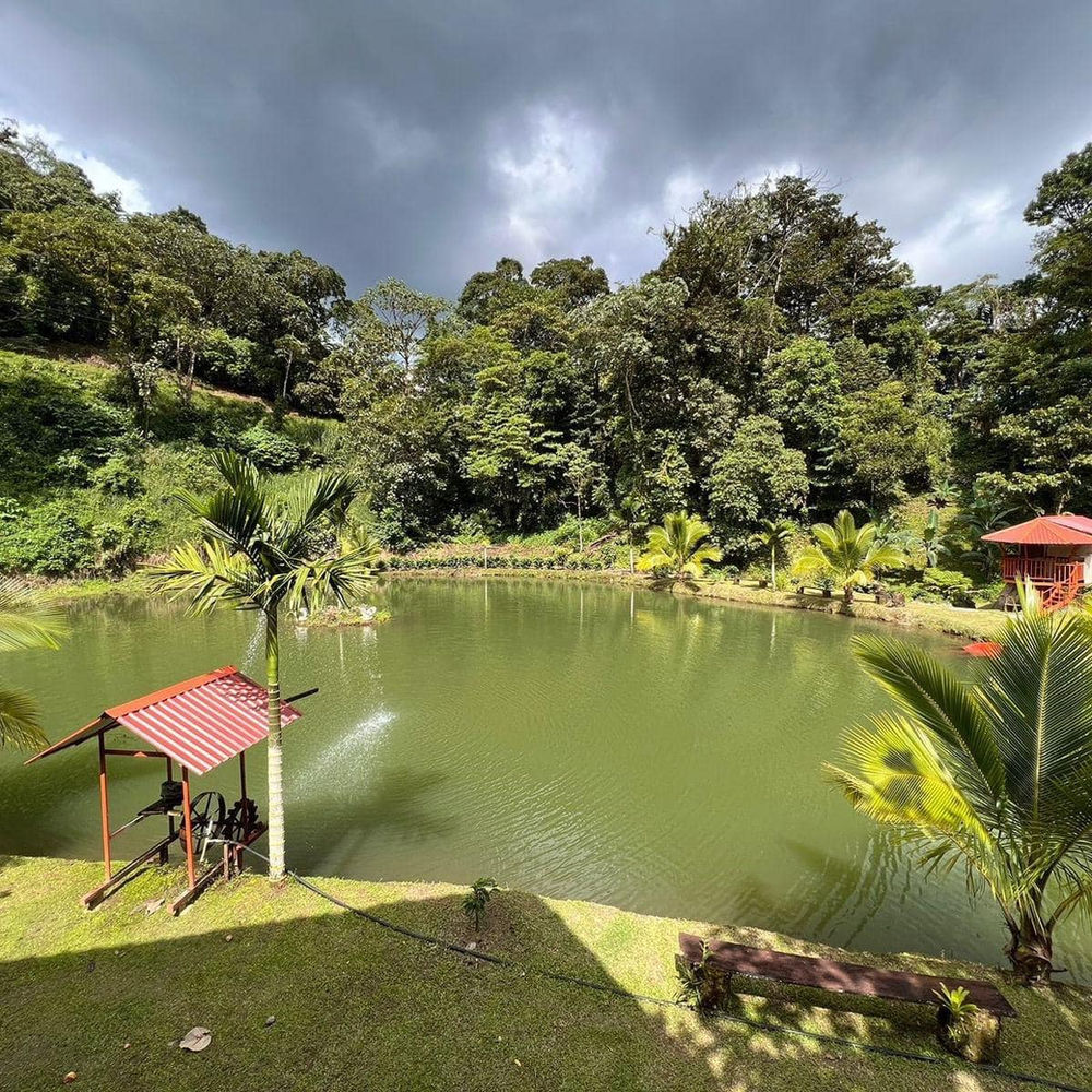 Camping Paraíso de Paz miniatura 5