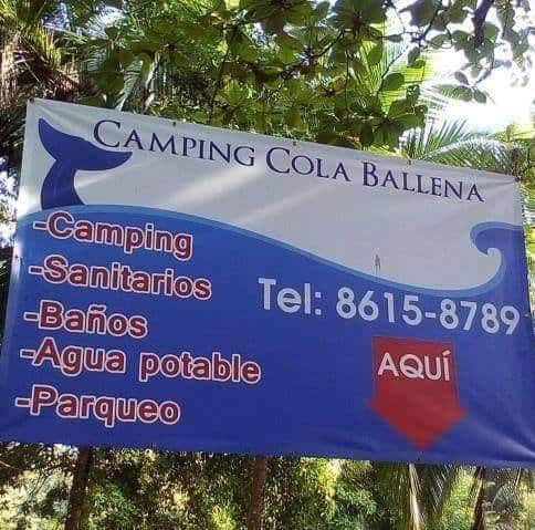 Camping Cola Ballena CR